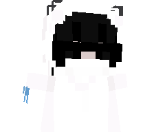PALExyFY's skin