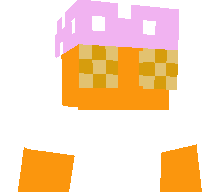 snitrokun's skin