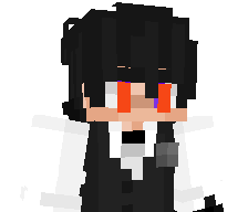 ShadowSlayer33's skin