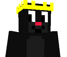 rvsina's skin