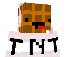 TNTDomination's skin