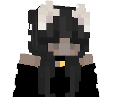 xxse's skin