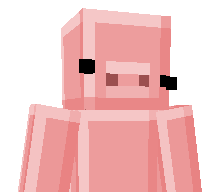 pigsrbss's skin