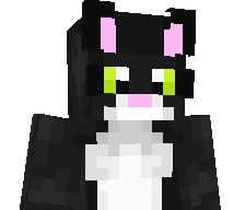 metroricky0_0's skin