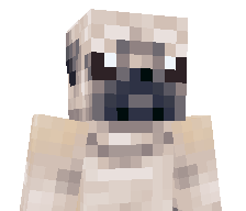 chainwas's skin