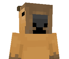 B1nne_1's skin