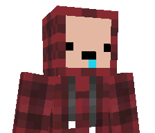 songinhoking's skin