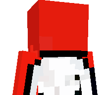 FixTheServerLag's skin