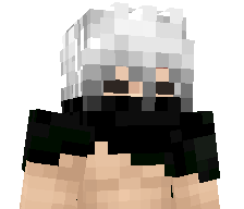 901f's skin
