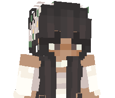 _mIst3r's skin