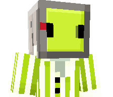 BedWarsChamp01's skin