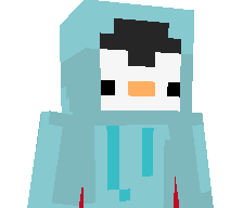 Arctic_Pengu1n's skin