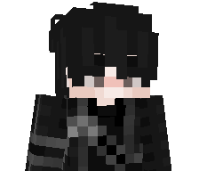 Verty_dps's skin