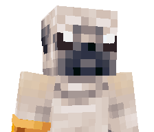 tliv's skin