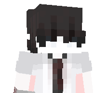 ShadowwWasT4ken's skin