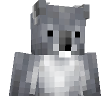41m4_29's skin