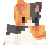 Schmjan's skin