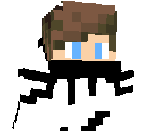 houplayzmc's skin