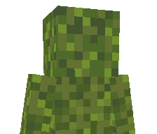 12KgRat's skin