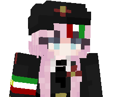 amirsina's skin