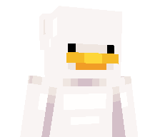 _Bliksem's skin