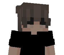 v1lk1's skin