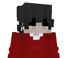qship's skin