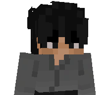 _Hoitsu's skin