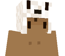 friedpotato303's skin