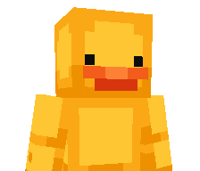 Priv4ty's skin