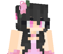 EverlyMC's skin