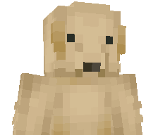 5iveskill's skin