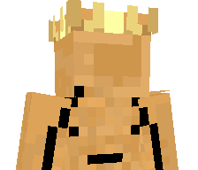 Coxinhoyt's skin