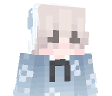 MiniCrafterD's skin