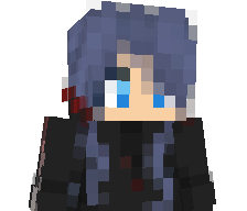 VoidShadowNight's skin