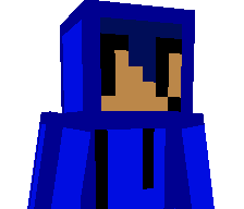 Adaniscraft's skin