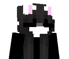 shamelesslies's skin