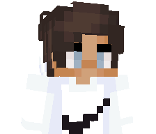 flymender03's skin