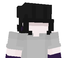RISAT4's skin