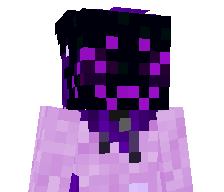para_n0idd's skin