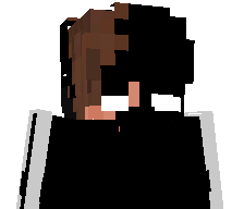 MidMink83706623's skin