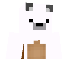 BearDoesYTONYT's skin