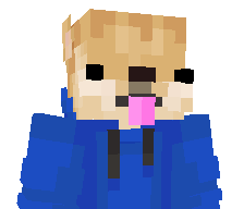 nivshinberg's skin