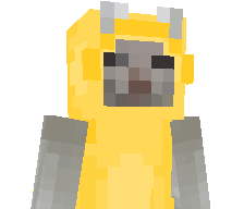 FDXRPE's skin