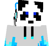 XPandaTy3's skin
