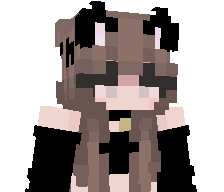 Le_mini0n's skin