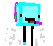 Maggixs's skin