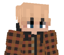 coggnizant's skin