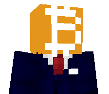 ledgersupport's skin