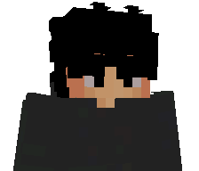 MIDNIGHTD0LPHIN's skin